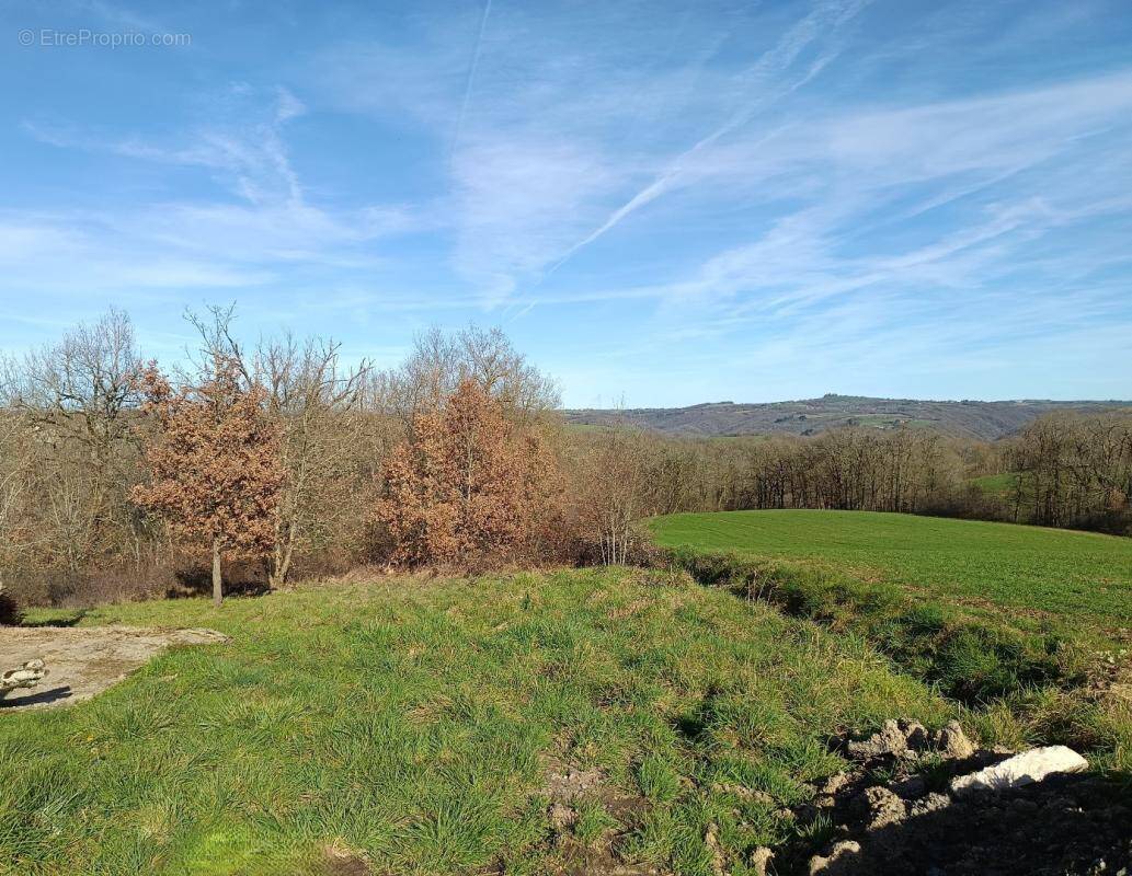 Terrain à MIRANDOL-BOURGNOUNAC