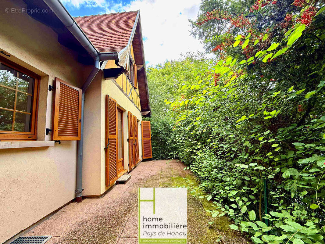 Ensemble immobilier à MITTELHAUSBERGEN -libre - photo 7