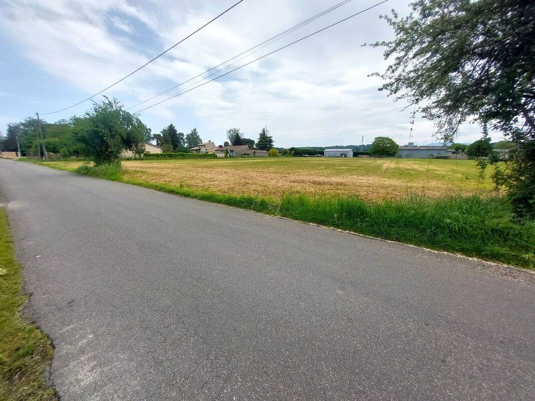 20260429141941 - Terrain à SAINT-MARTORY