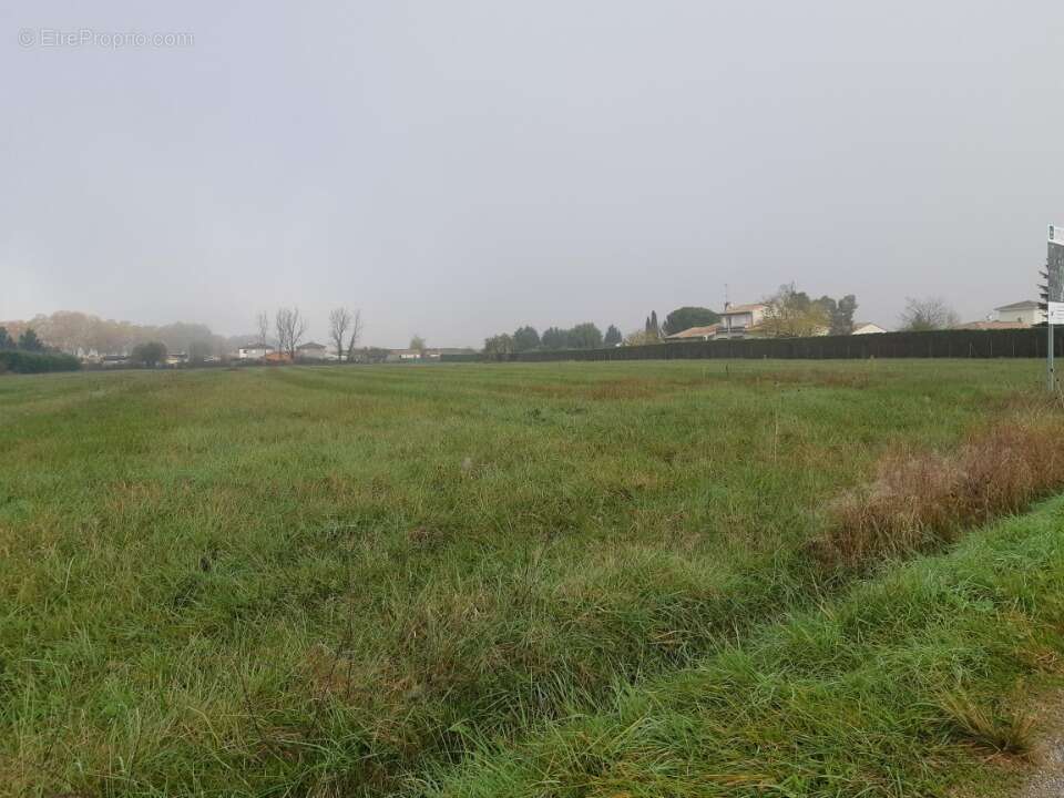 Terrain 540 m² à Nohic  - photo 4