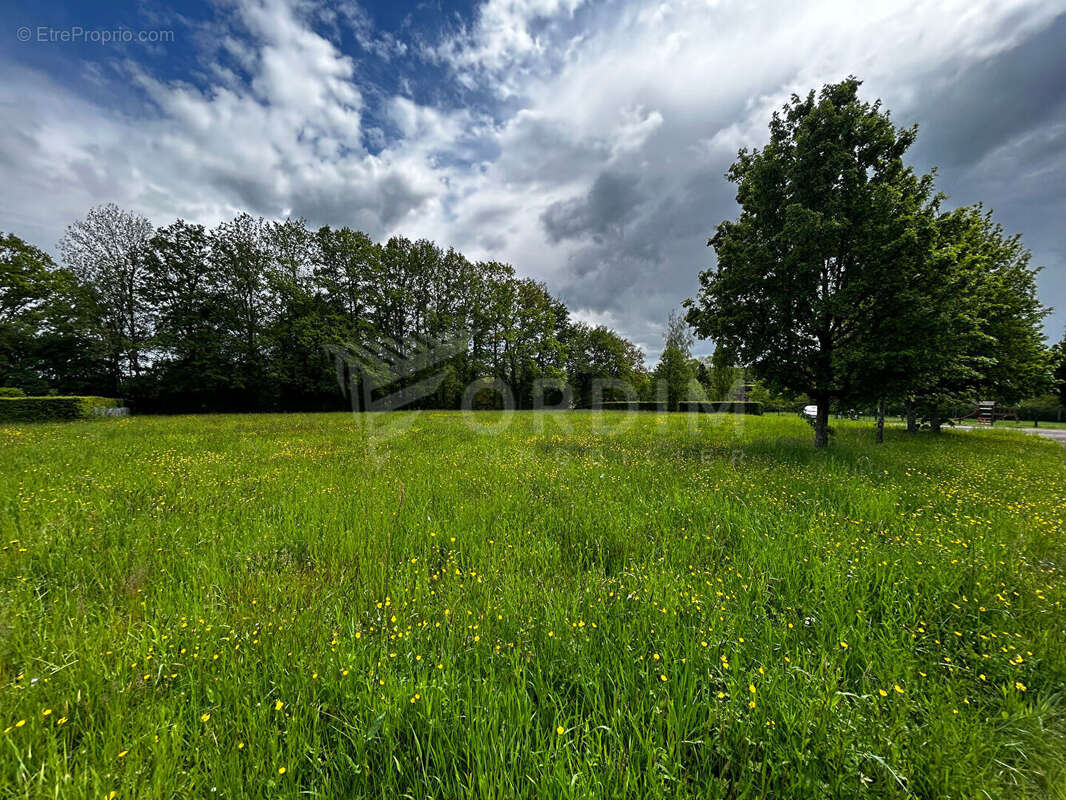 Terrain à MOULINS-SUR-OUANNE