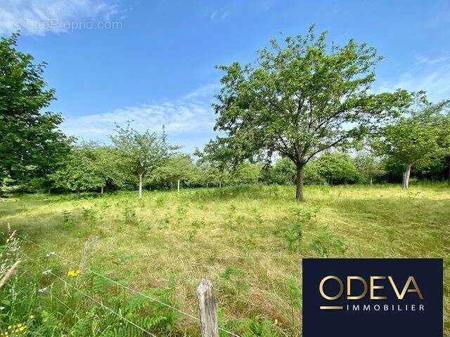 Terrain à CONDE-SUR-VIRE