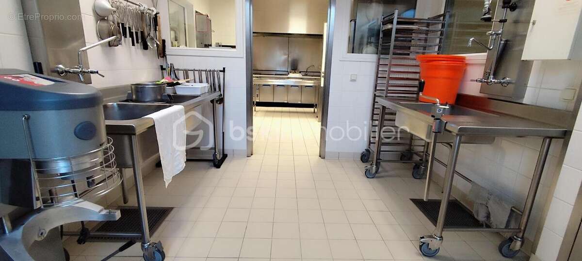 Commerce à LA SELLE-EN-LUITRE