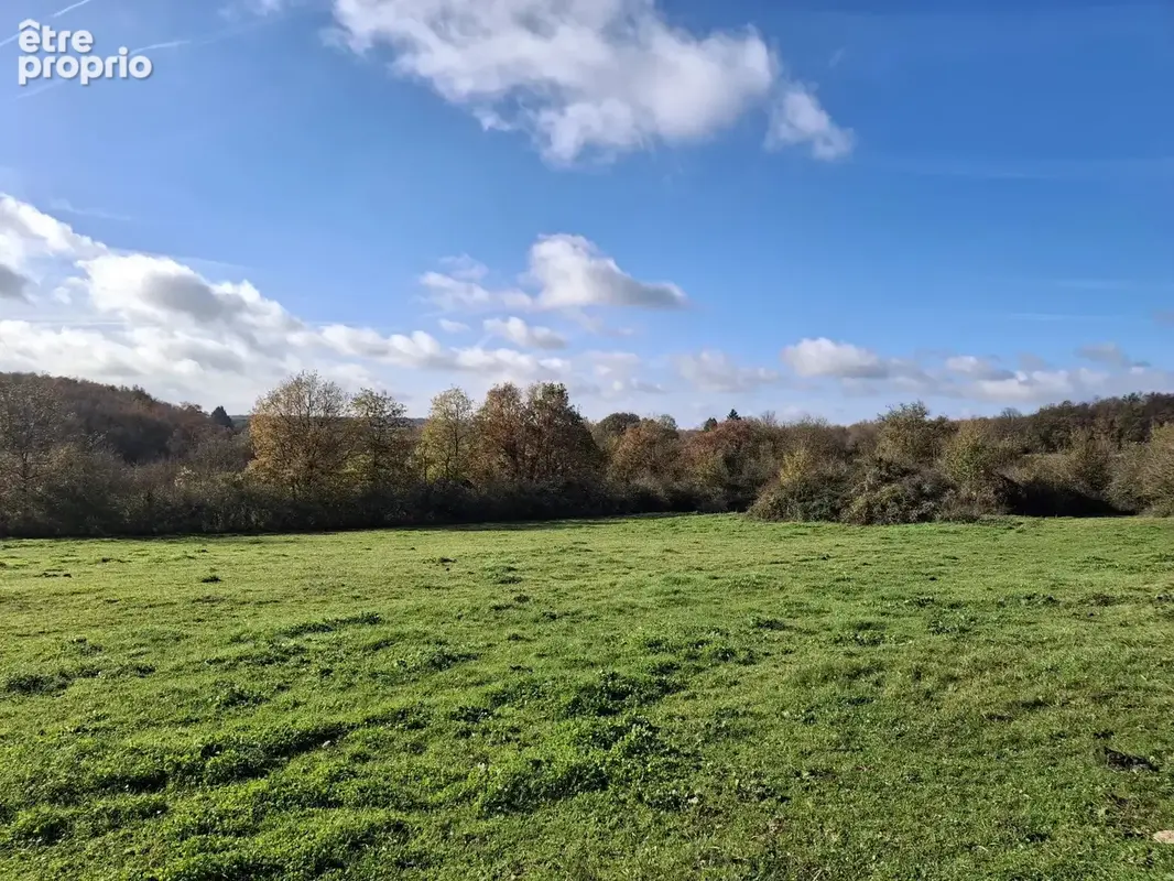 Charmante propriété équestre avec carrière en sable, granges, piscine et plus de 4 hectares de terrain - photo 19