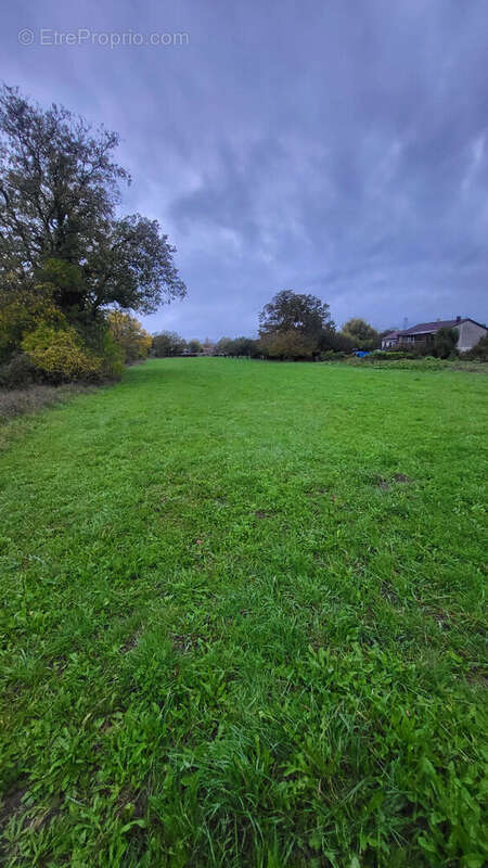 Terrain à NEUVILLE-SUR-ORNAIN