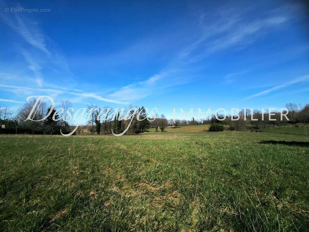 Terrain à PAYZAC