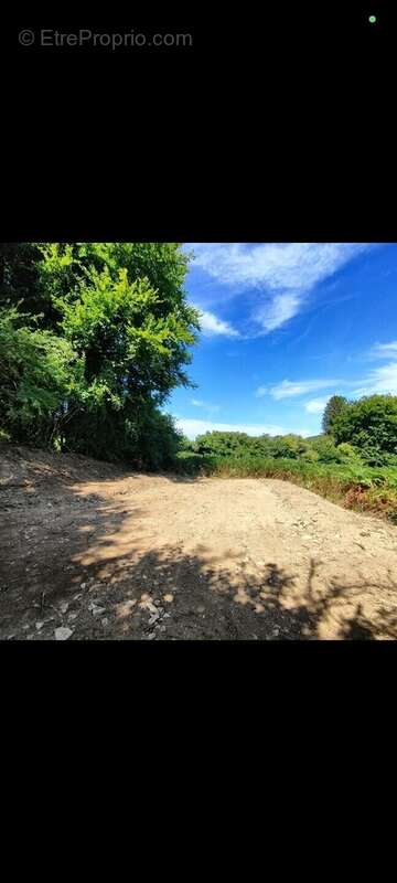 Terrain à MONTSAUCHE-LES-SETTONS
