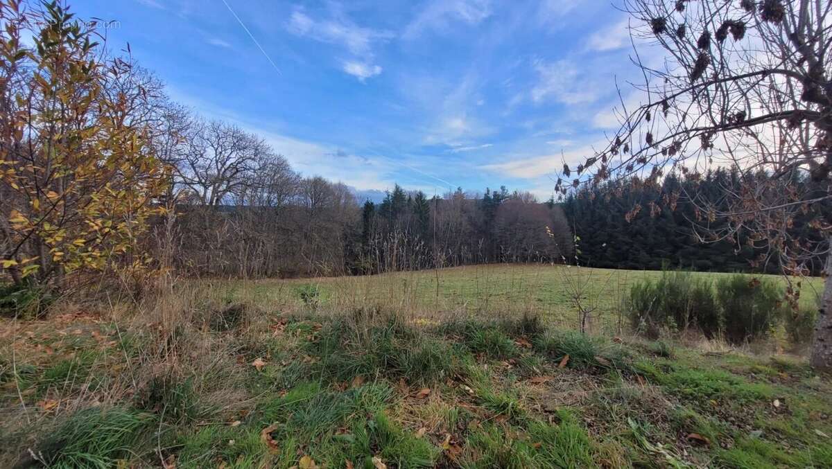 Maison à LE CHAMBON-SUR-LIGNON