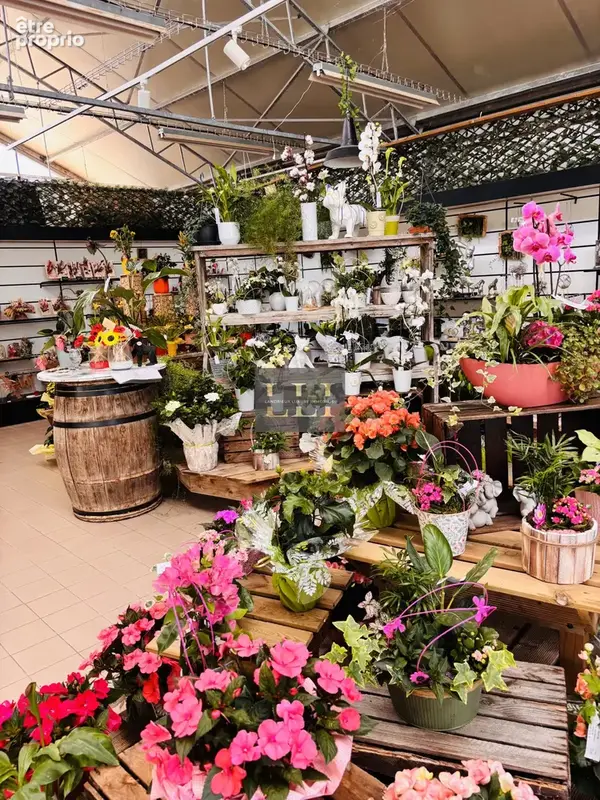 Fonds de commerce fleuriste & jardinerie 1400m2 - photo 7
