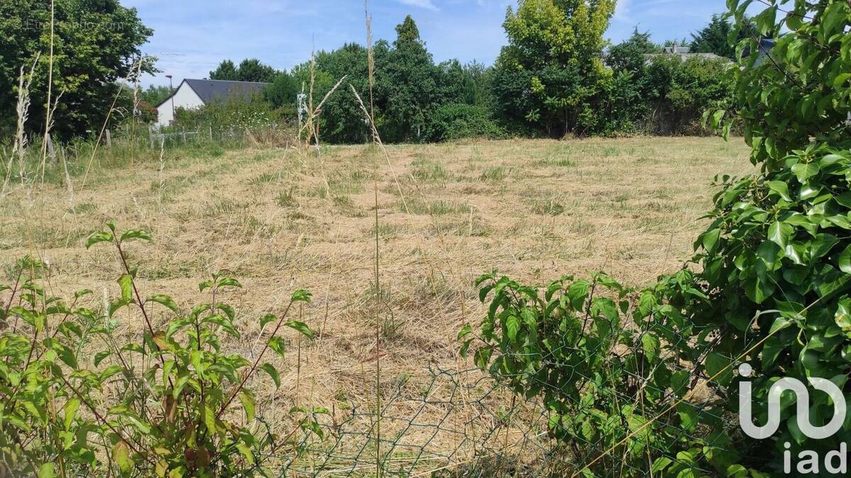 Photo 1 - Terrain à AMBILLOU