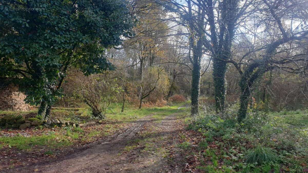 Maison à CHATEAUNEUF-LA-FORET