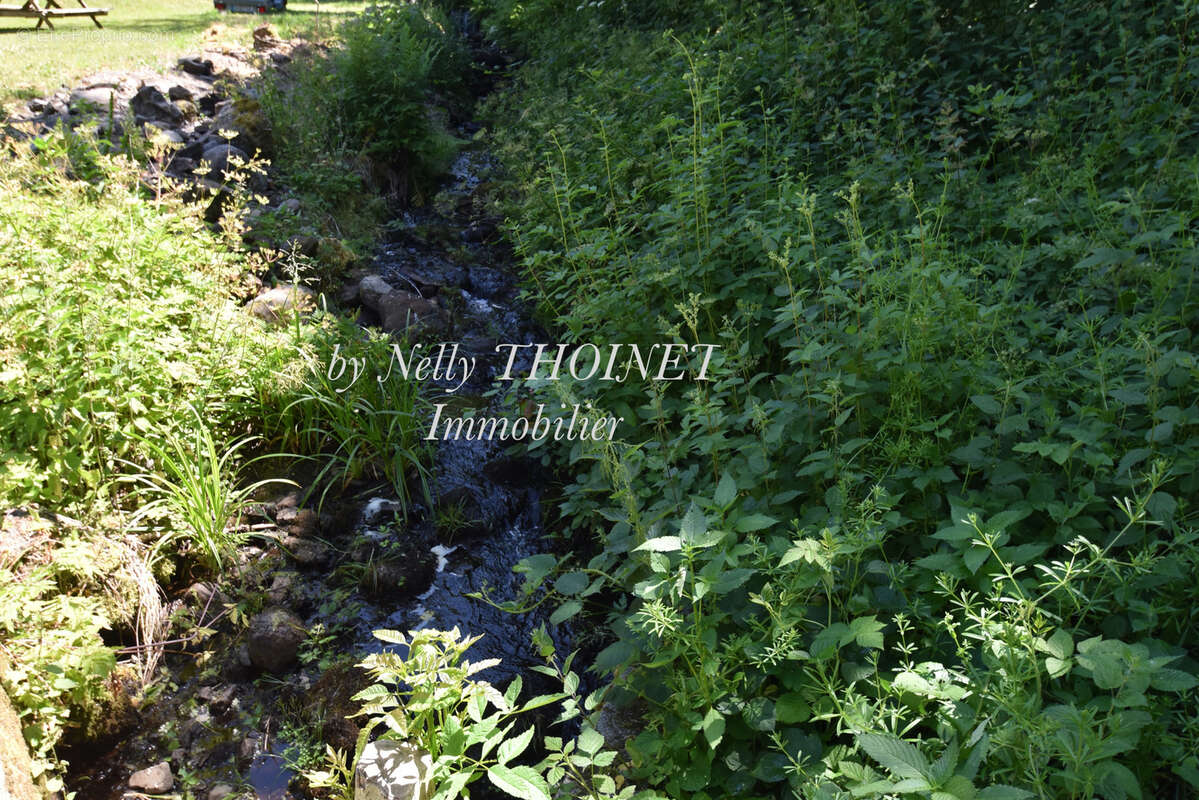 Maison à BESSE-ET-SAINT-ANASTAISE