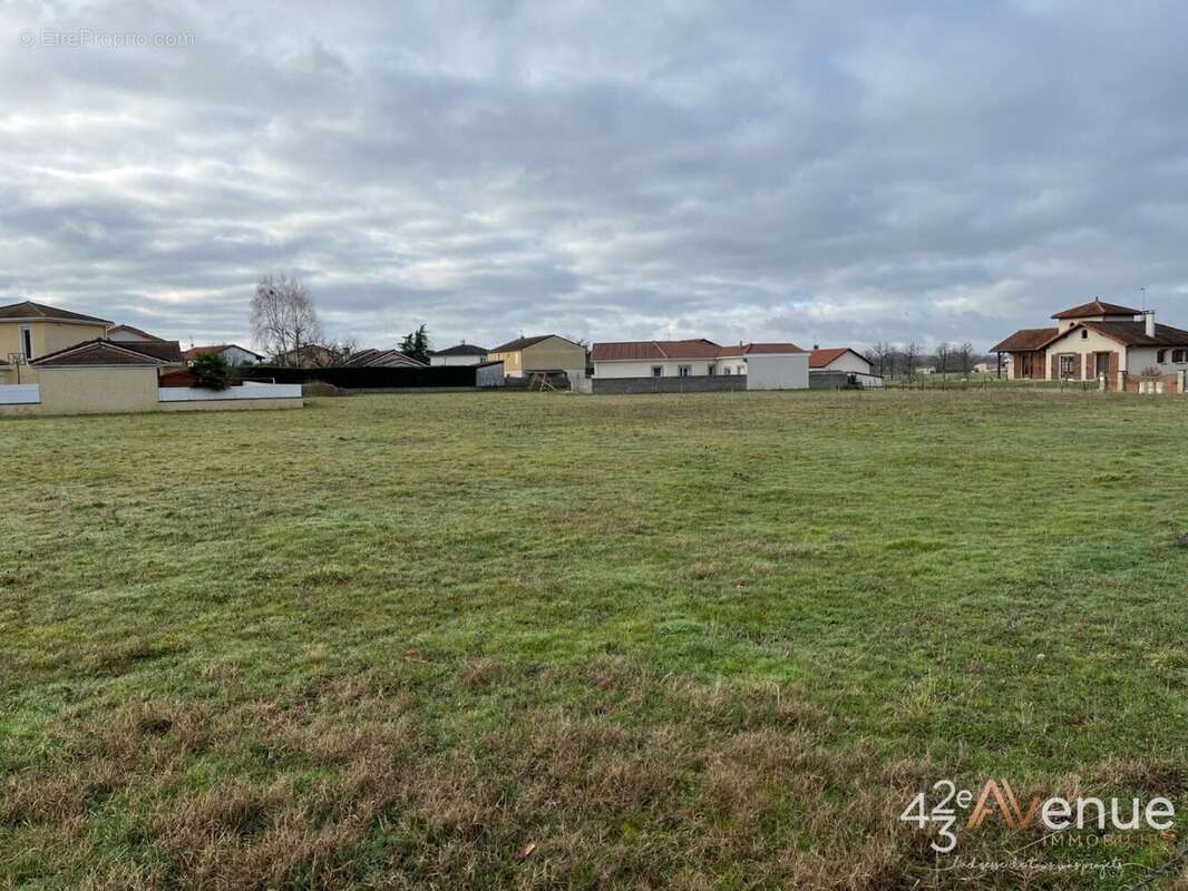 Terrain à CUZIEU