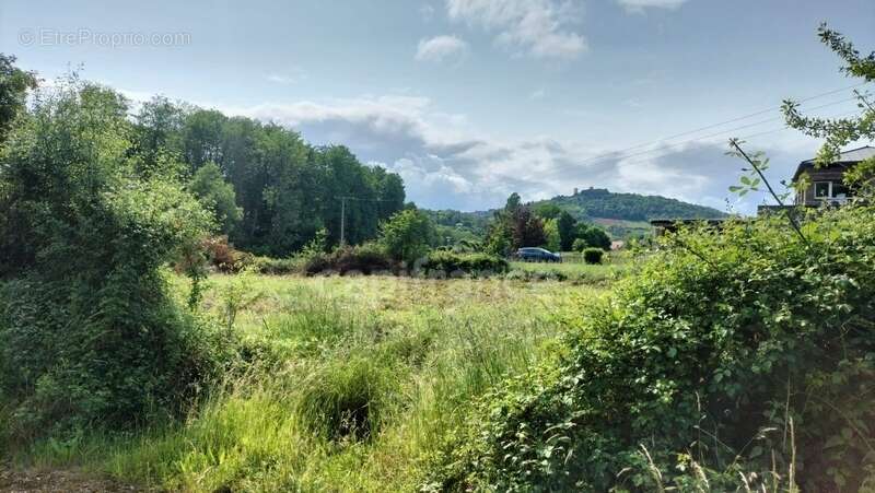 Terrain à SAINT-PERE