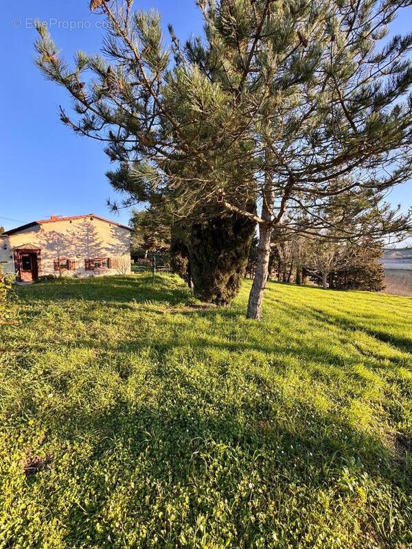 Photo 1 - Maison à AVIGNONET-LAURAGAIS