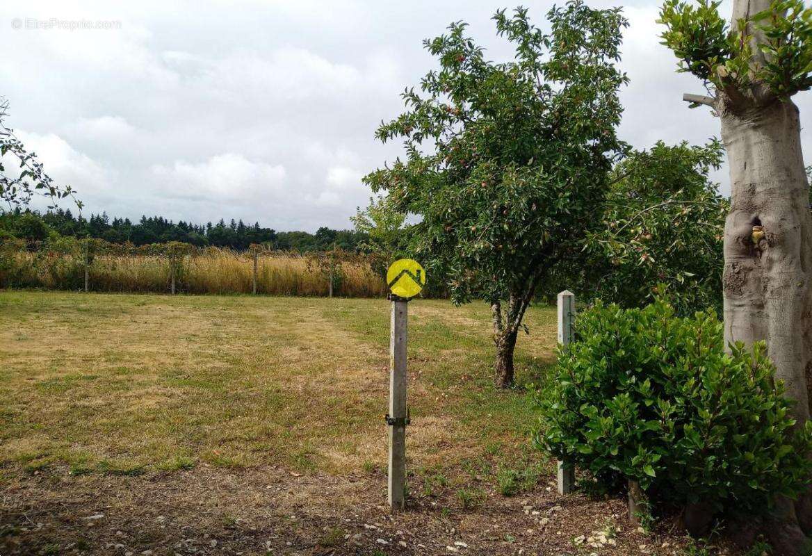 Maison à SAINT-VALERIEN