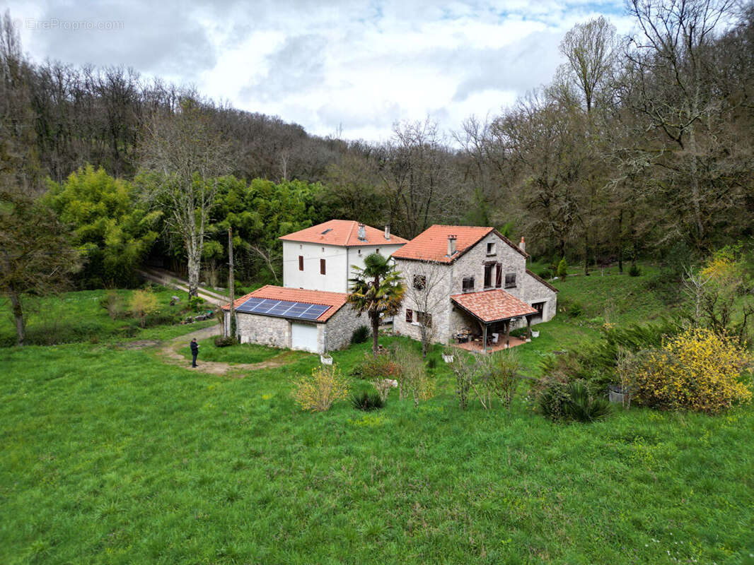 Bel Ensemble en pierre proche Laroque Timbaut - photo 2