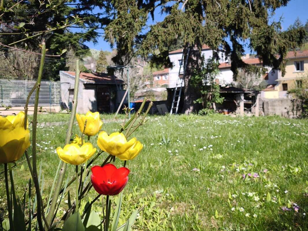 Photo 9 - Maison à SAINT-CHAMOND