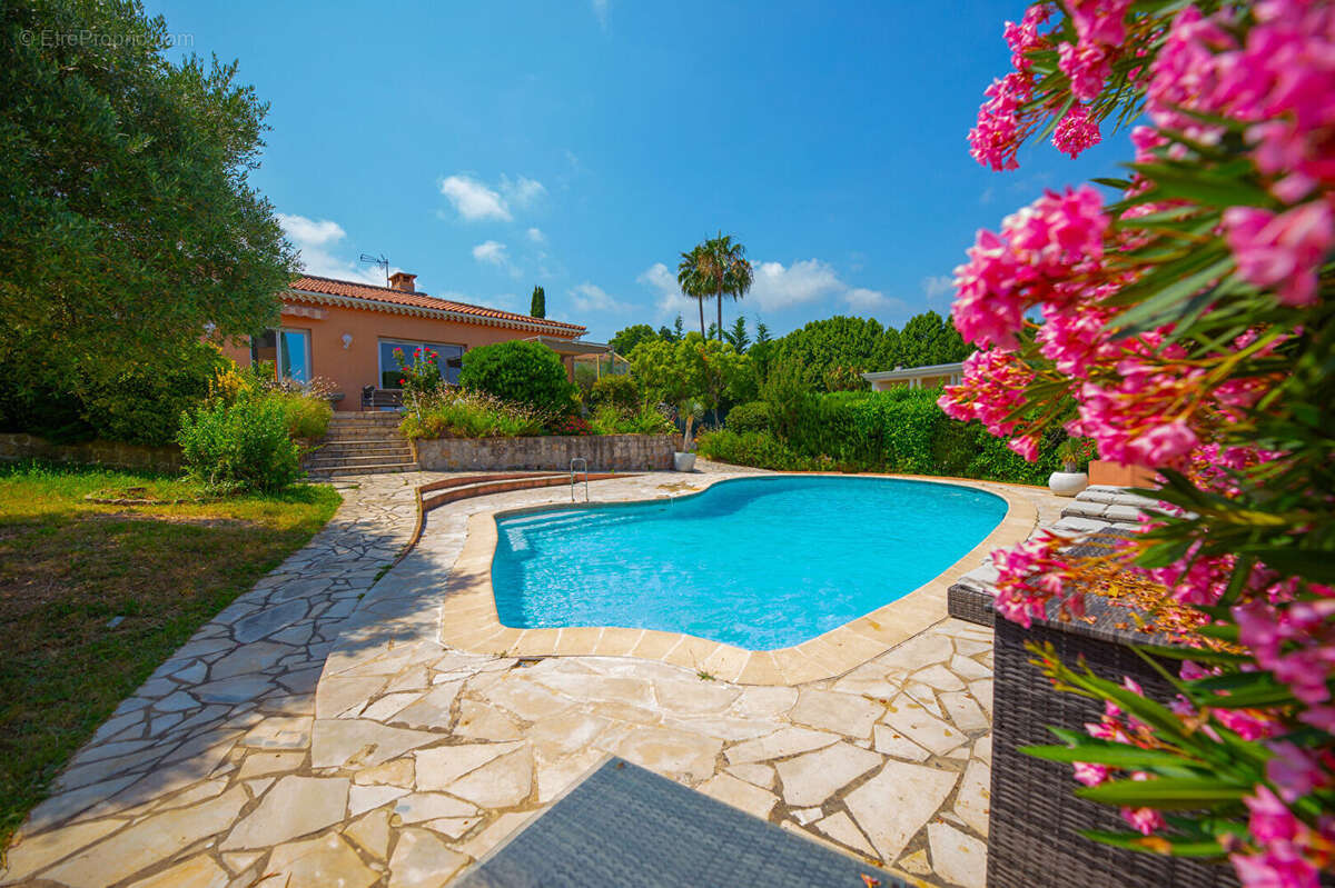 Maison à MANDELIEU-LA-NAPOULE