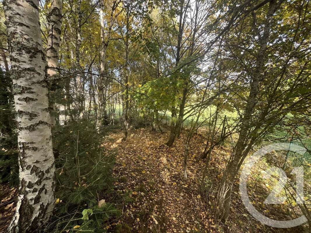 Terrain à BURDIGNES