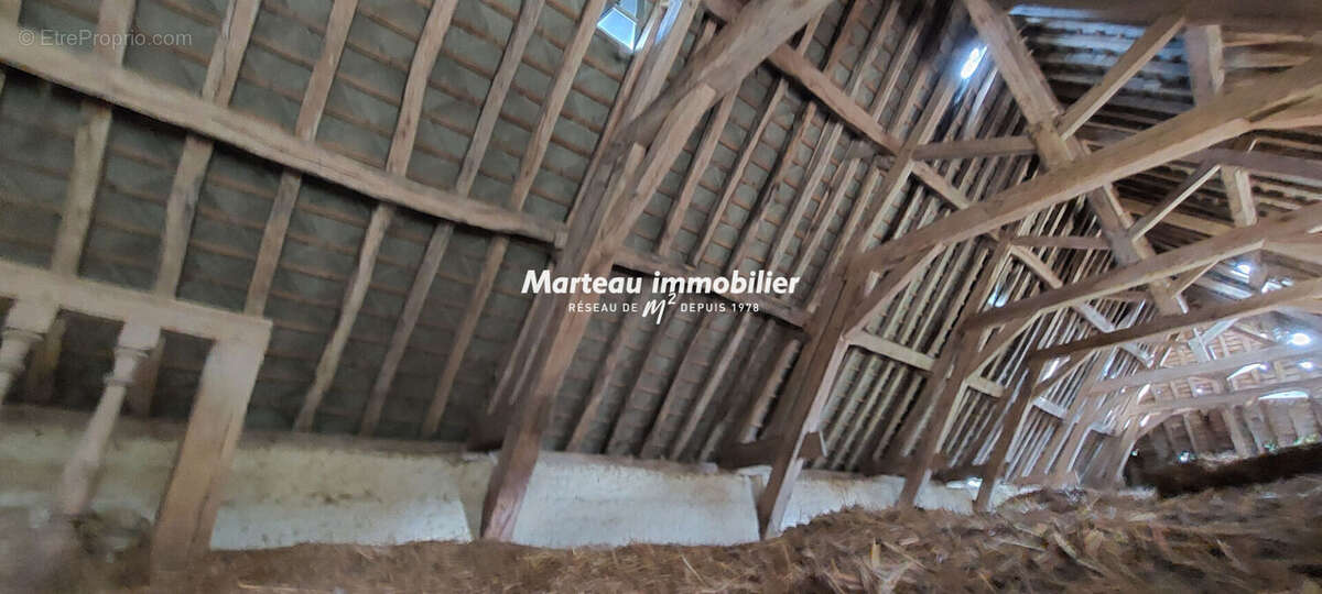 Maison à MONTMIRAIL