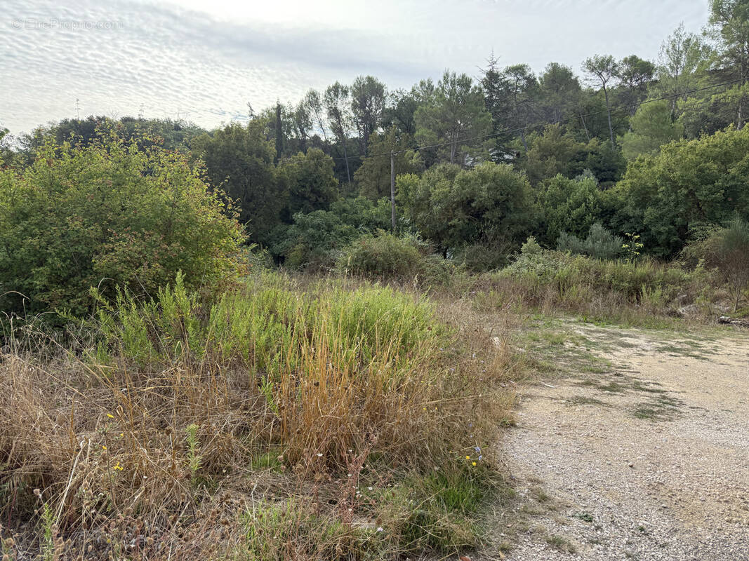 Terrain à BRIGNOLES