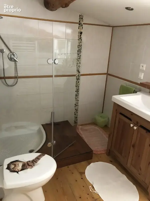 Appartement Lumineux entierement rénové - photo 5