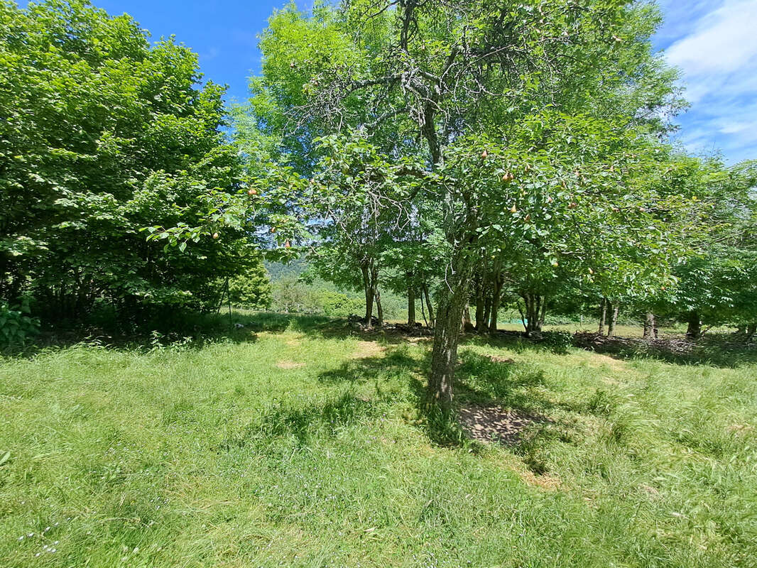 Terrain à POURCHARESSES