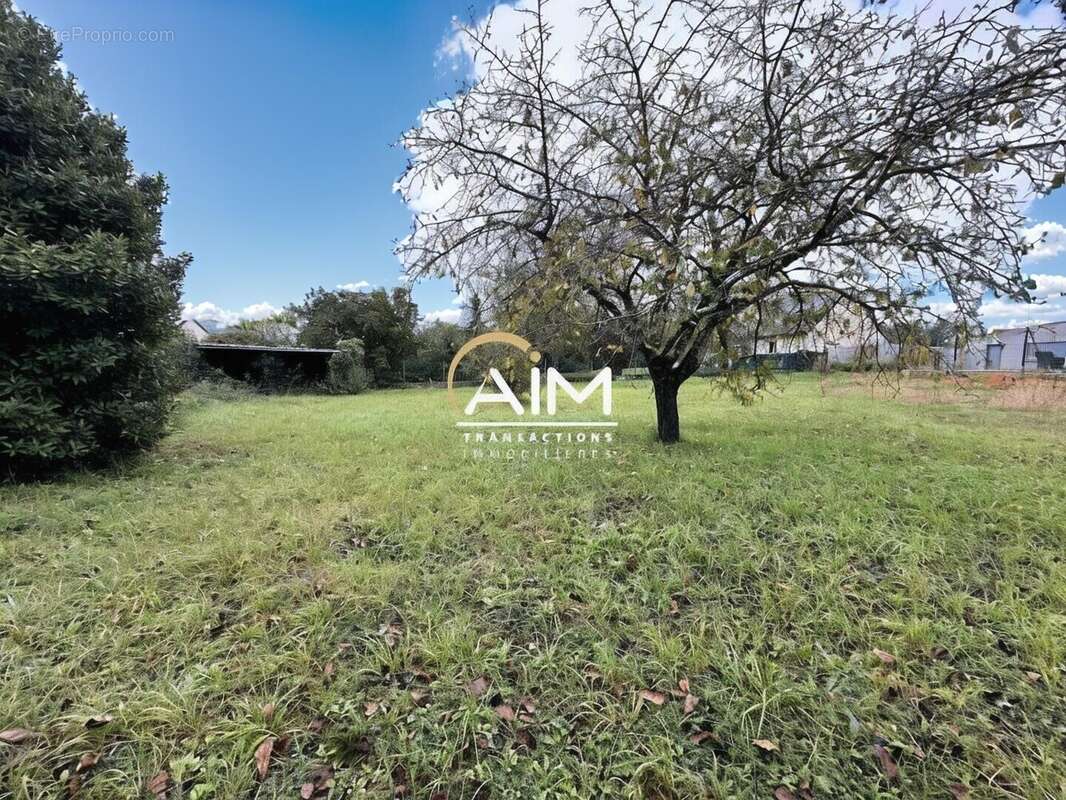 Terrain à MONTLOUIS-SUR-LOIRE