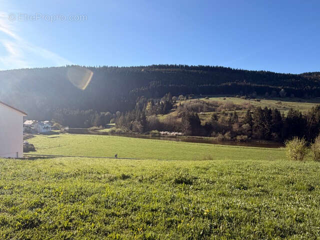 Terrain à MAISONS-DU-BOIS-LIEVREMONT