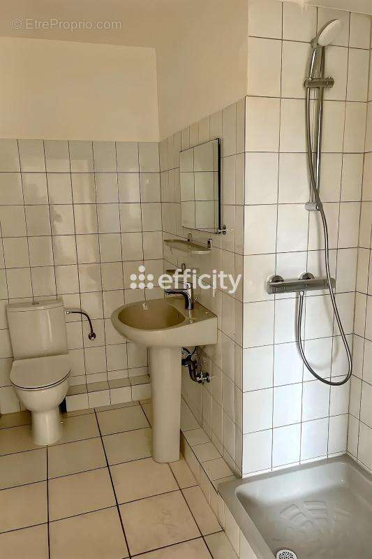 Appartement à SELTZ