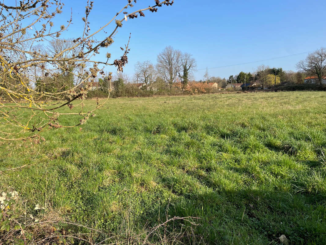 Terrain à MIGNALOUX-BEAUVOIR