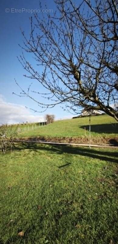 Maison à VEYRINS-THUELLIN