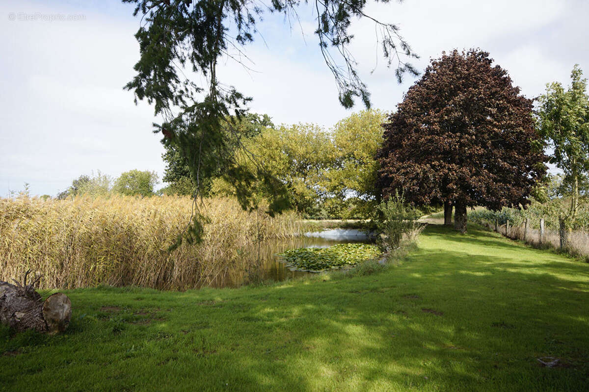 Maison à SAINT-SAUVEUR-LA-POMMERAYE