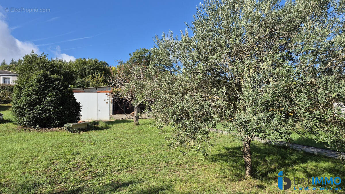 Terrain à ALBI