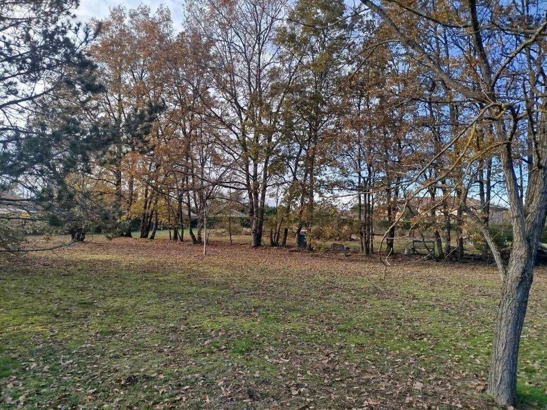 Terrain à SAINT-ETIENNE-DE-TULMONT