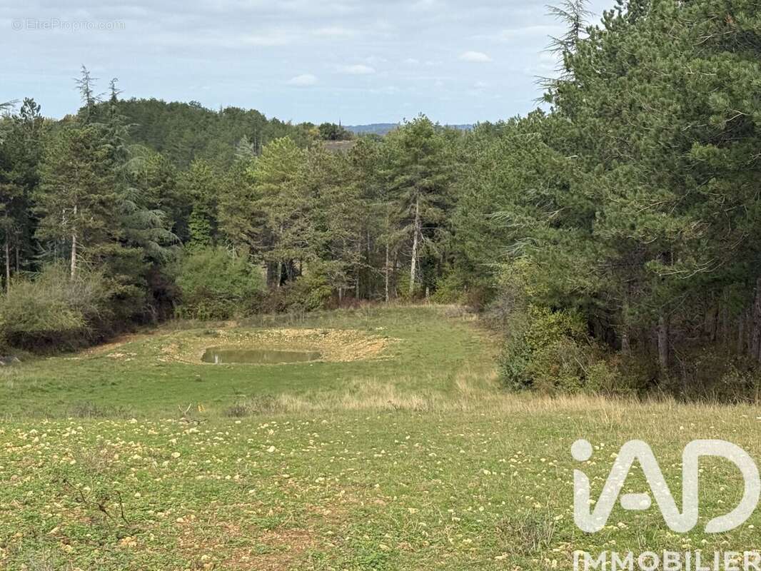 Photo 2 - Terrain à MONTAYRAL