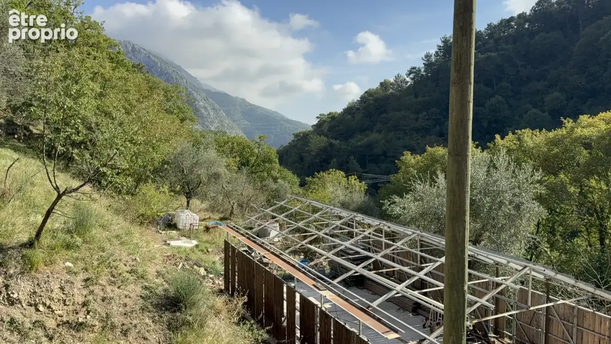 Vaste propriété de plus d’un hectare, entre oliviers centenaires et arbres fruitiers - photo 20