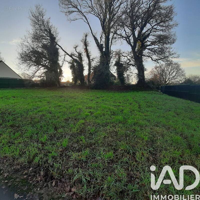 Photo 1 - Terrain à CARHAIX-PLOUGUER