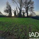 Photo 1 - Terrain à CARHAIX-PLOUGUER