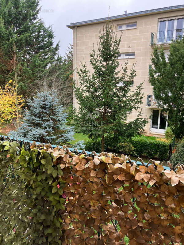 Appartement à MAISONS-LAFFITTE