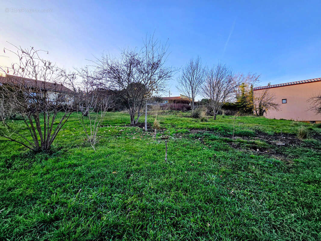 Terrain Espaly Saint Marcel 1185 m2 - photo 2