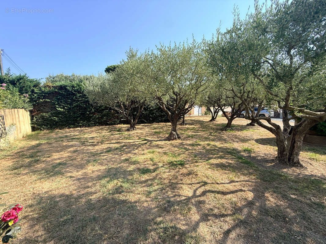 Frejus - terrain plat de 371m2 - proche commodites - photo 4