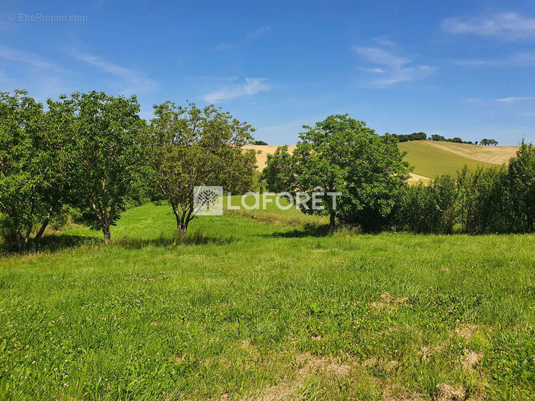 Terrain à VILLEMUR-SUR-TARN