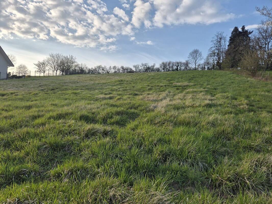 Terrain à COURBOUZON