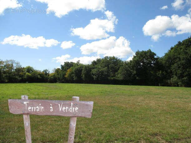 Terrain à BOULIAC