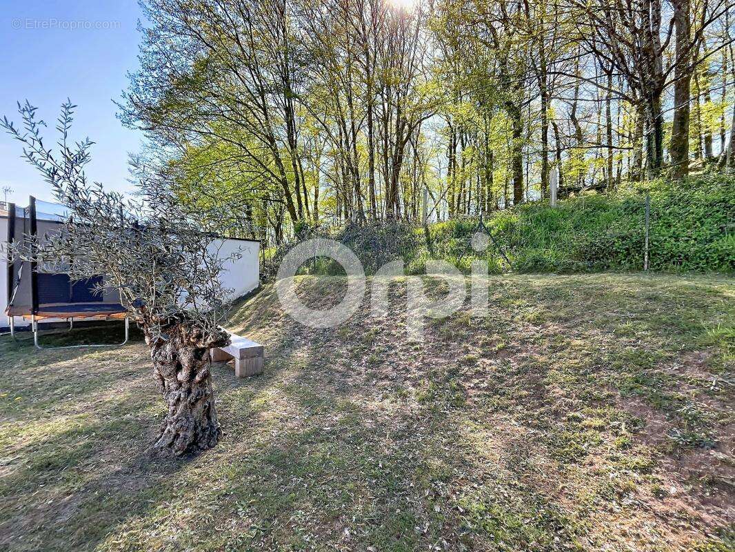 Plain pied 2024 - Secteur Hôpital Brive - AGENCE ORPI BRIVE - photo 16