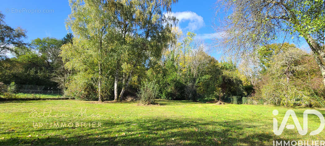 Photo 3 - Terrain à LES MOLIERES