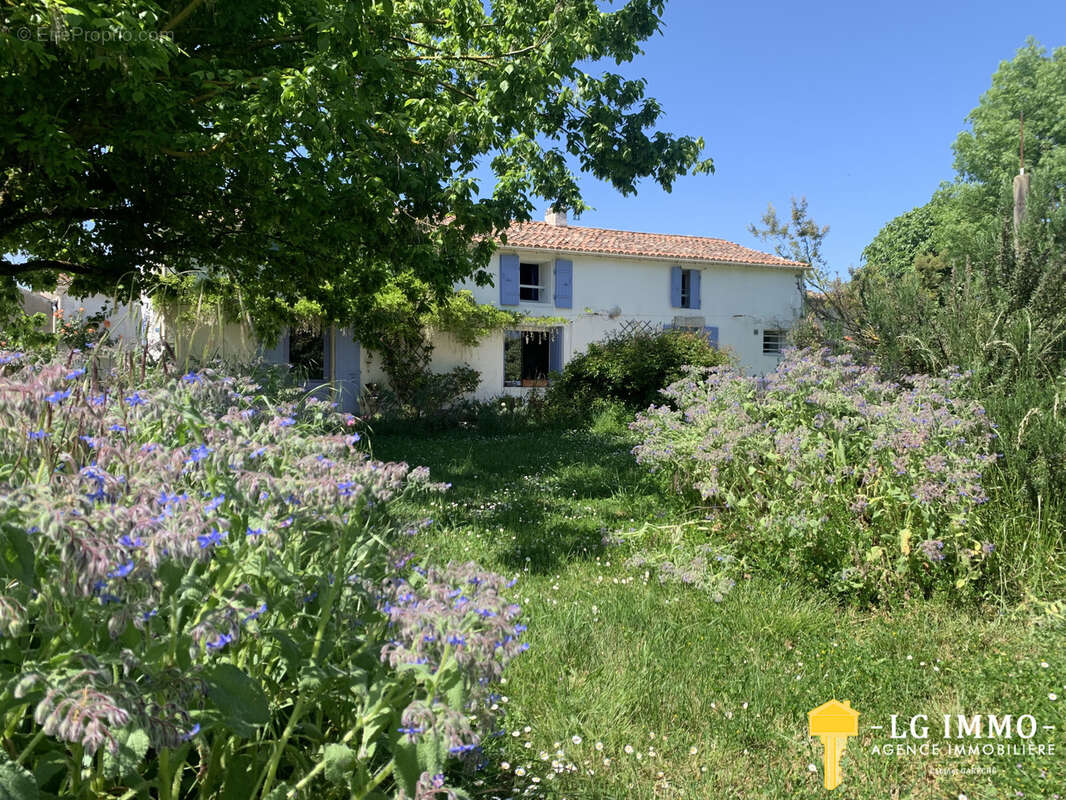 Maison à ARCES
