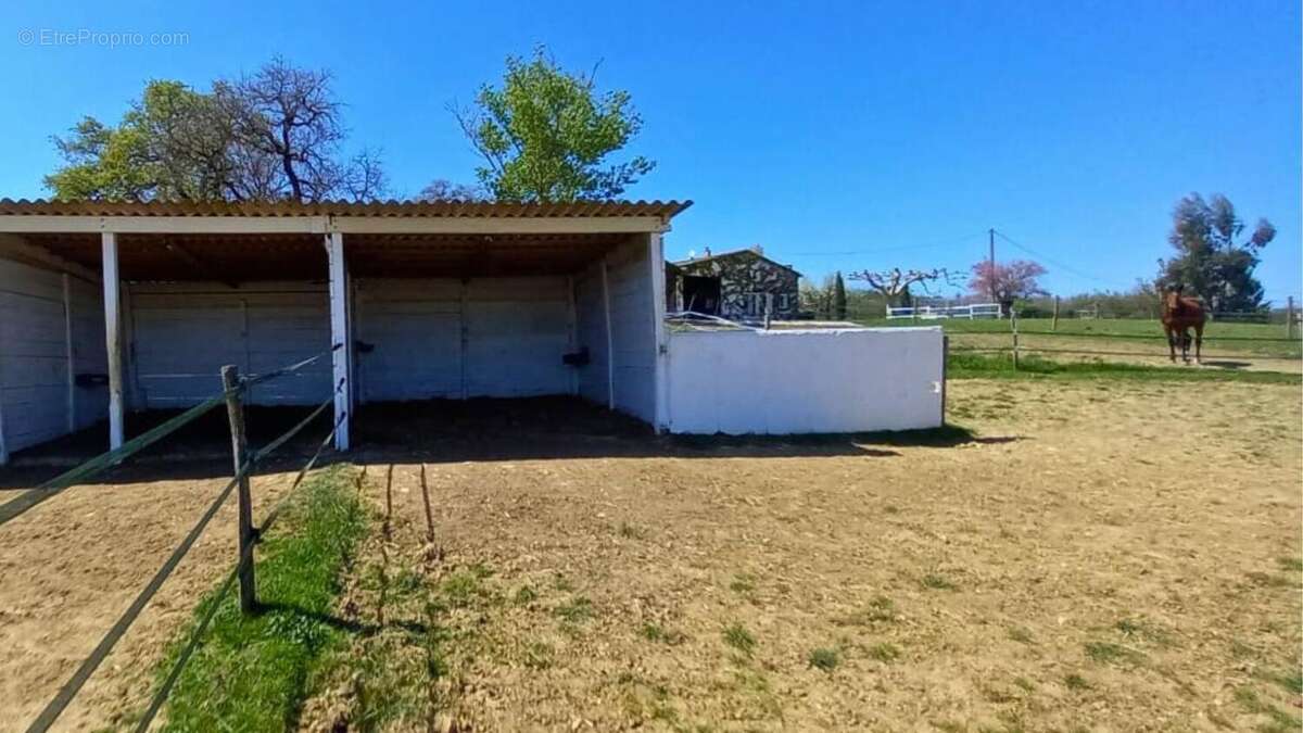 Photo 4 - Maison à BEAUMONT-DE-LOMAGNE